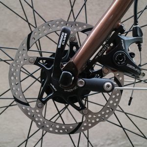 Fuji Touring Disc - immagine 9